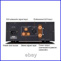 220V 500W Passive Subwoofer Power Amplifier Special Hifi Power Amp Home 5.1/2.1