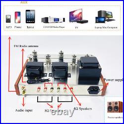 HiFi Bluetooth 6P14 Vacuum Tube Amplifier FM Radio/TF Card/AUX Power Amp DIY KIT